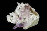 Amethyst Crystal Cluster - Las Vigas, Mexico #136998-1